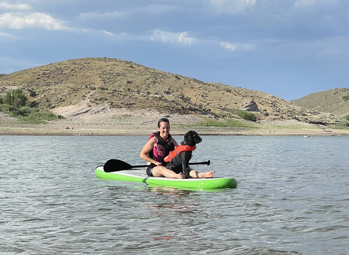 WeekendWomanWar's tweet image. Gunny, the adventure dog, went paddle boarding for the first time. She is NOT a fan. 
-
-
#paddleboarding #waterfun #paddleboardingadventures #paddleboardingwithdogs #summervibes