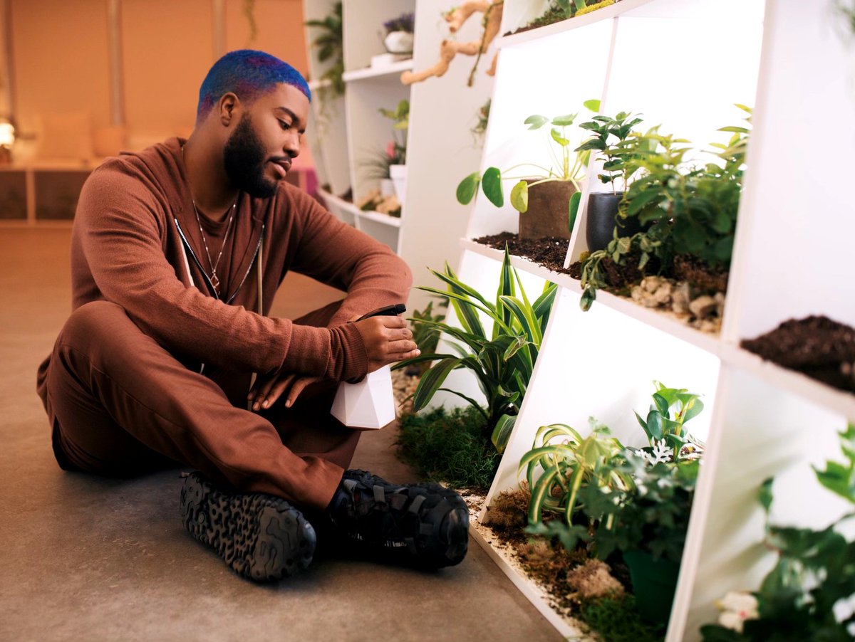 Khalid on Twitter "New Normal 🌿 Song and video out this Wednesday…