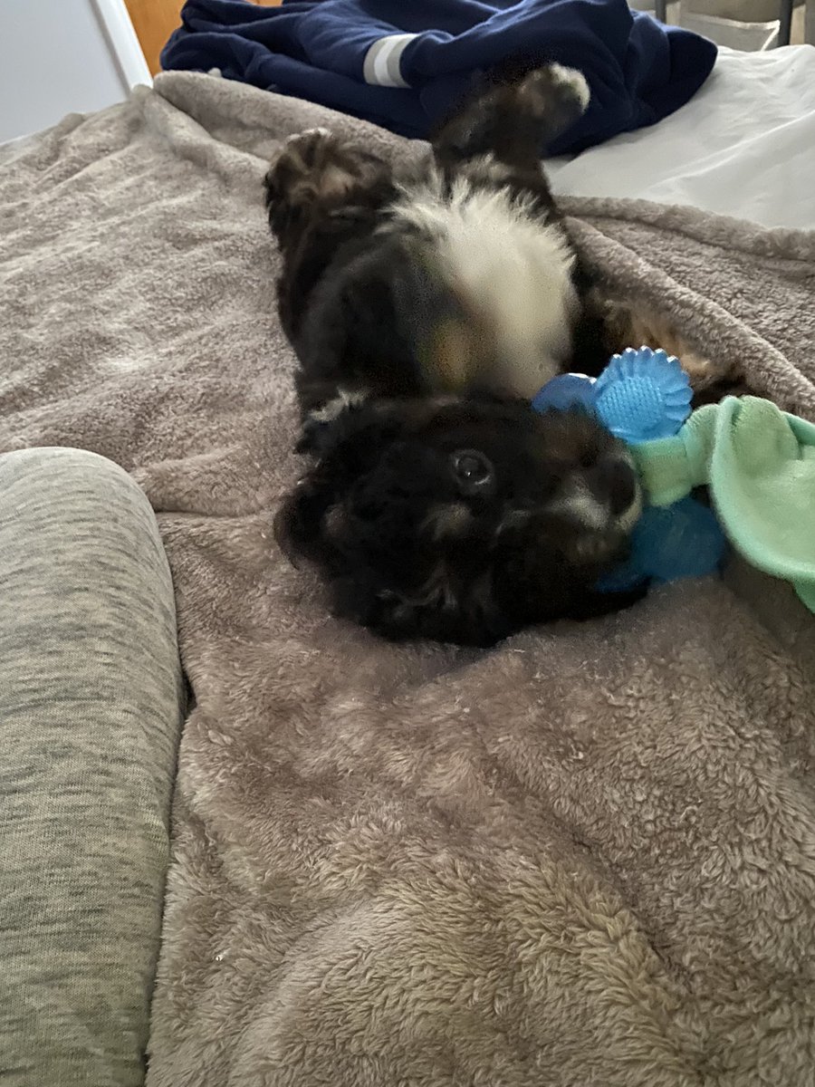 jenna_behm's tweet photo. I love her so much already https://t.co/hGu7ch8591