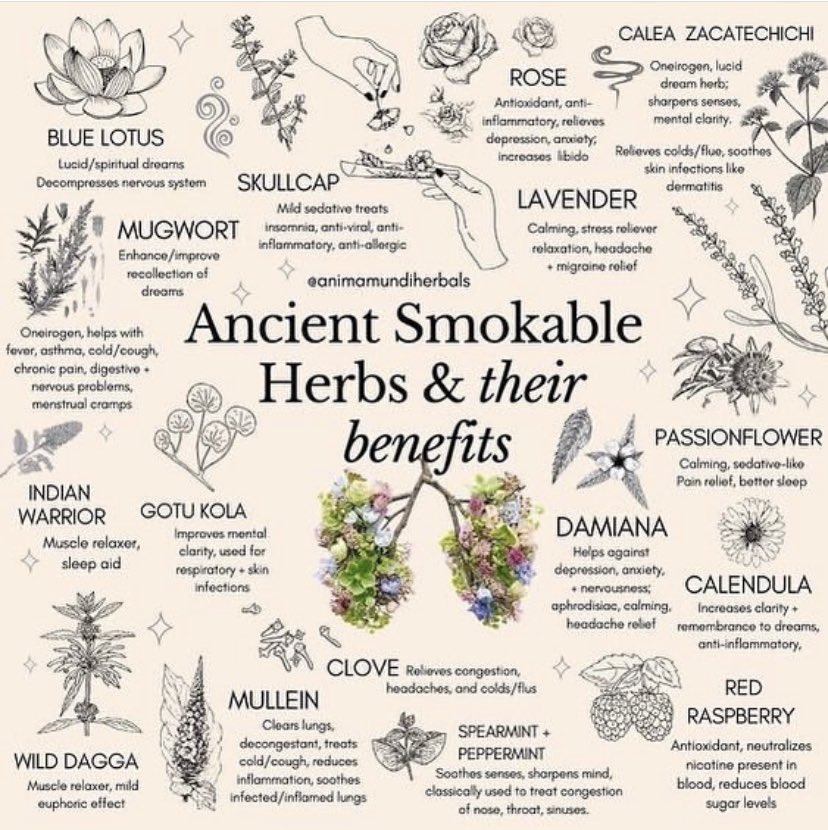 Smokable Herbs Ultimate Guide