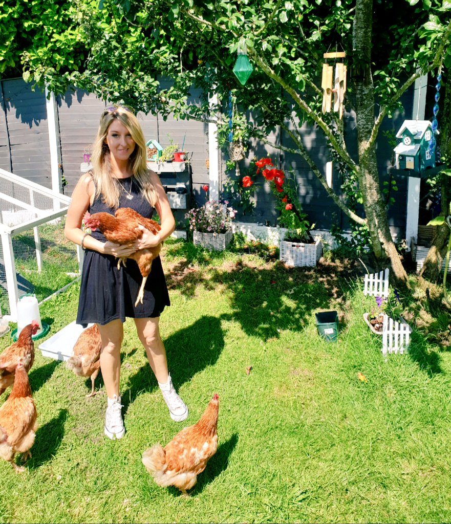 Been busy past few months Loving &amp; caring for our 5 beautiful new rescue hens 💕 I'm in love with each &amp; every one of them 🐔 They also lay the most delicious eggs ever!! 👌🥚🍳...Be prepared for lots of new chicken paintings!!! 🎨 #rescuehens #happyhens #adorable #iminlove