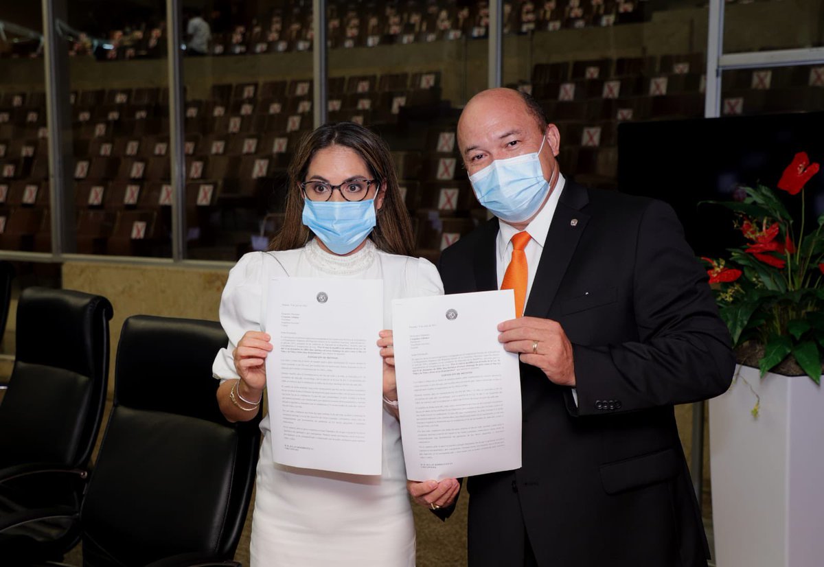 asambleapa's tweet photo. Diputada @ZulayRL presentó al Pleno, el anteproyecto de ley, por el cual se modifica un artículo de la Ley 56 del 15 de diciembre de 2004, que instituye el tercer domingo de julio, como el Día del Niño y la Niña y dicta otras disposiciones. https://t.co/SIpfWp8Z3M