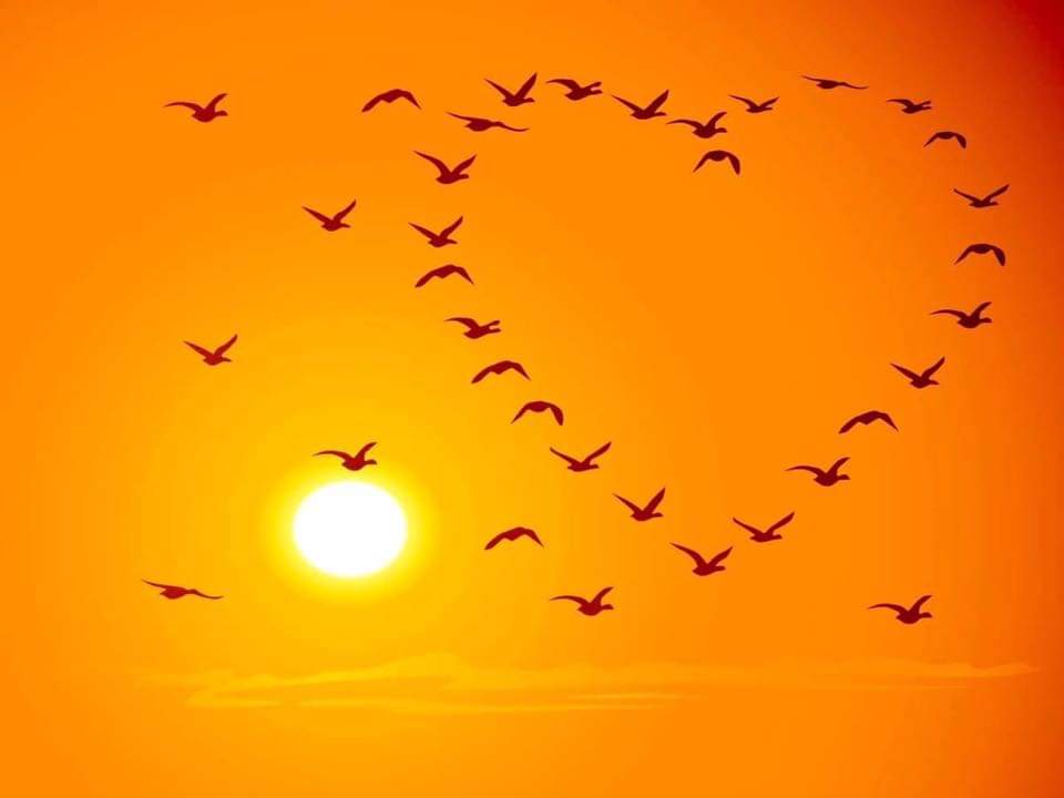 ZackirZac's tweet photo. Excellente semaine à tous 🍀🌎😊
#restons_positifs #soyons_prudent Covid19 

📷 instant au coeur du monde 💚 https://t.co/omG93WX2mc