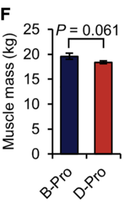 BobbyShamim's tweet photo. Meal distribution of protein influences skeletal #muscle hypertrophy, but loading (e.g., resistance exercise) is necessary to observe a short-term effect. Balanced intake seemingly also effective if meeting threshold to stimulate muscle protein synthesis.. https://t.co/fG1uqnsGxt https://t.co/zsvnXdMzUi