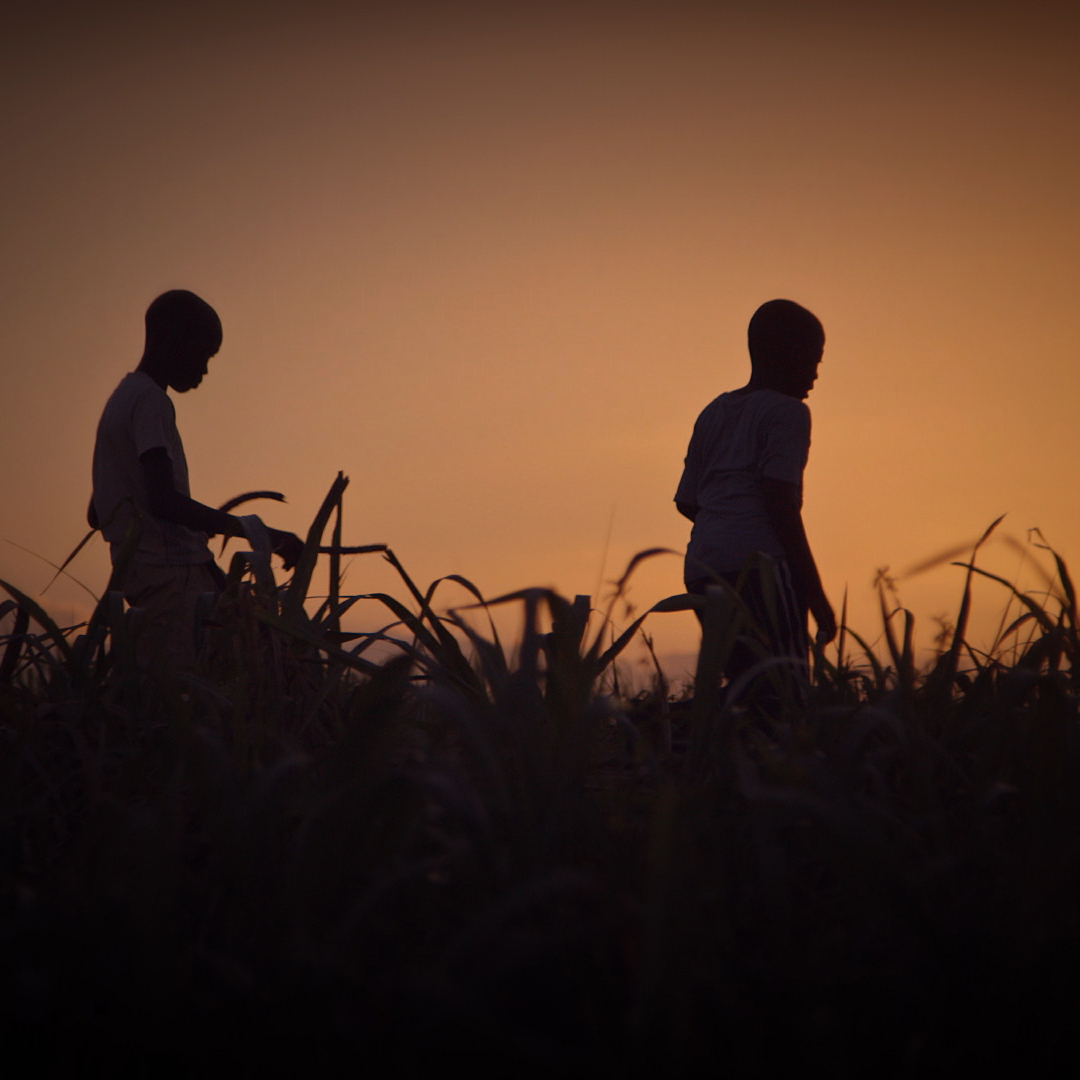 WGVUPublicMedia's tweet image. At 10pm, @POVdocs brings you: &quot;Stateless&quot; - A look at the complex history and politics of Haiti and the Dominican Republic. Only on #WGVU, your @PBS. #POVdocs