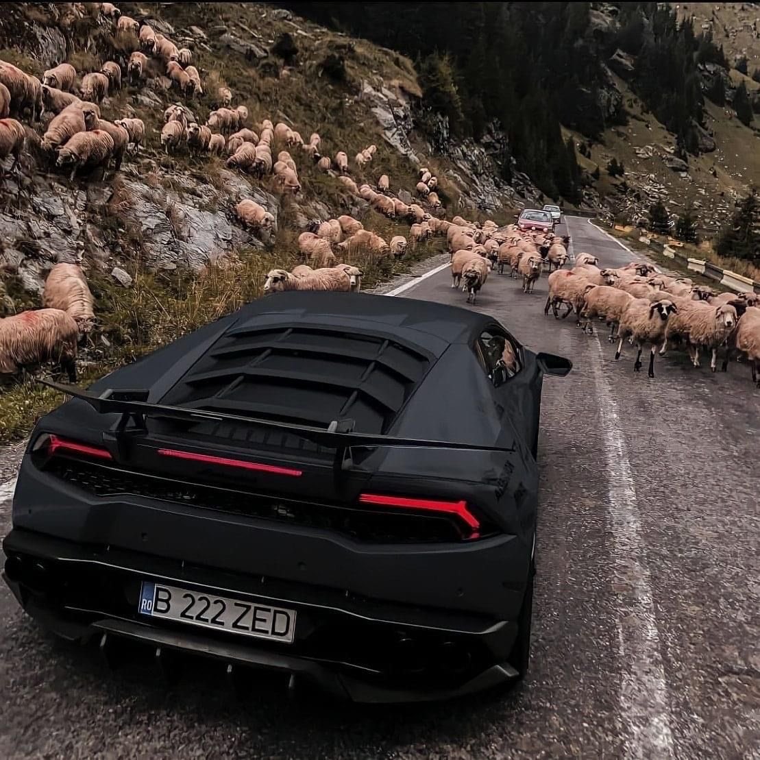 كل عام وأنتم بخير 🐑🥳