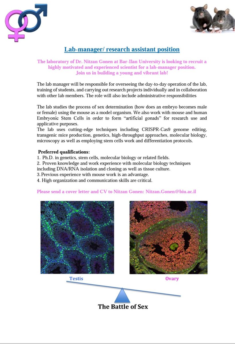 Nitzan Gonen 💔 (@gonen_nitzan) on Twitter photo Looking to recruit a Lab Manager to my lab <a href="/Bar_ilan/">אוניברסיטת בר-אילן</a>.
So all my Israeli friends- spread the word/RT. And if you hear of a good and motivated scientist (preferably after PhD) please send them my way Looking to recruit a Lab Manager to my lab <a href="/Bar_ilan/">אוניברסיטת בר-אילן</a>.
So all my Israeli friends- spread the word/RT. And if you hear of a good and motivated scientist (preferably after PhD) please send them my way