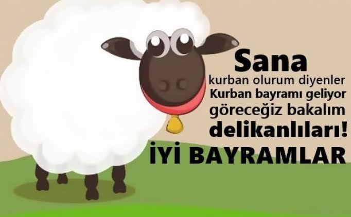 #günaydın🐄
#KurbanBayramı 

#Erkencitayfa 

Neşeli ve Huzur dolu bir bayram olsun inş 🤗