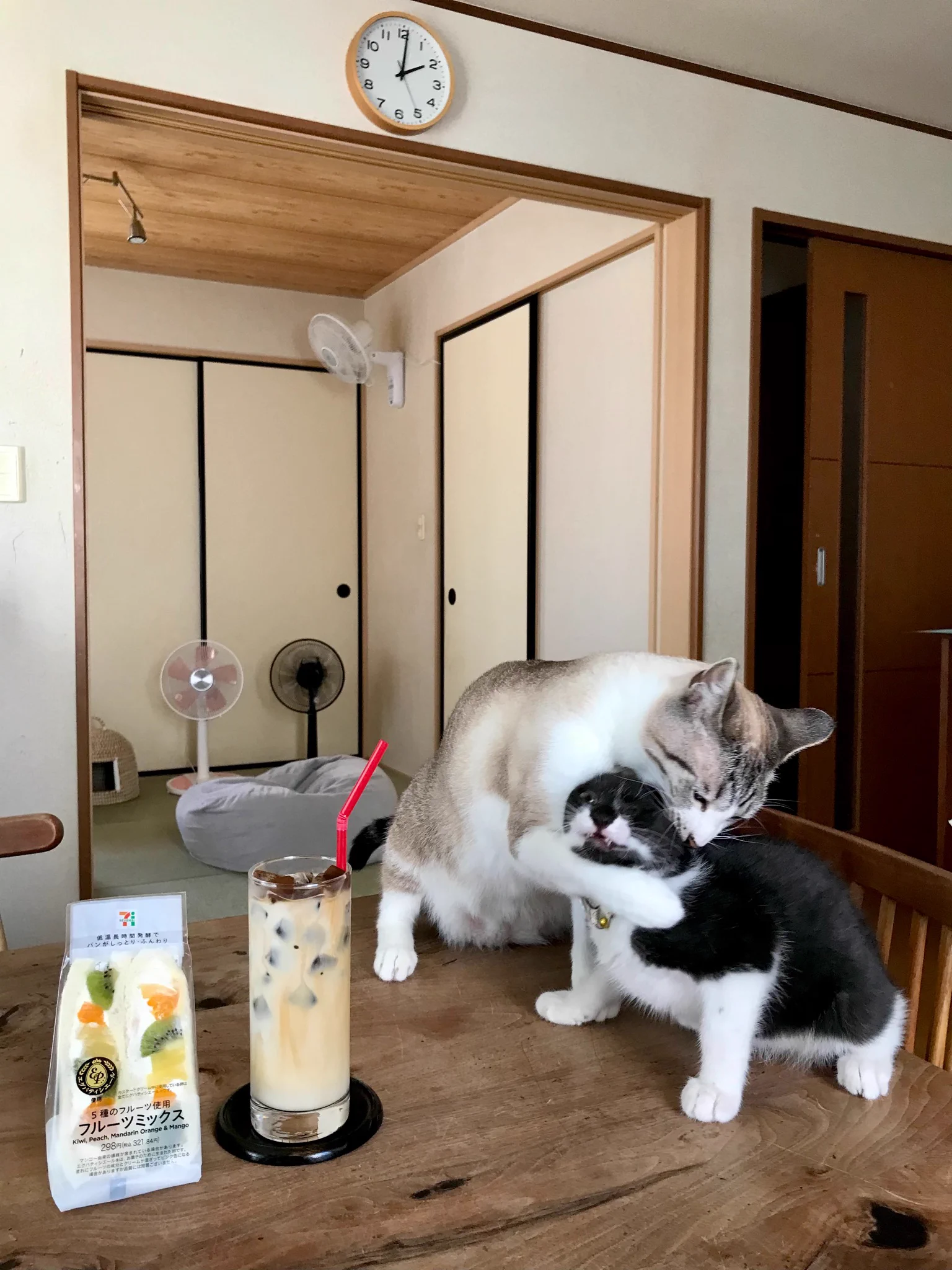 頼りになる先輩？「それはダメだよ」と教える先輩ネコ！