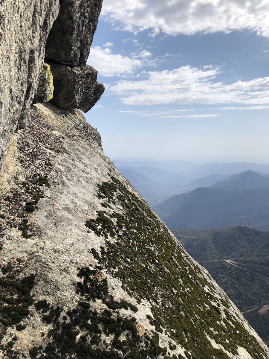 rrriggsby's tweet photo. #photography #3Rivers #SequoiaNationalPark #tinylizard https://t.co/QcIHjQ91by