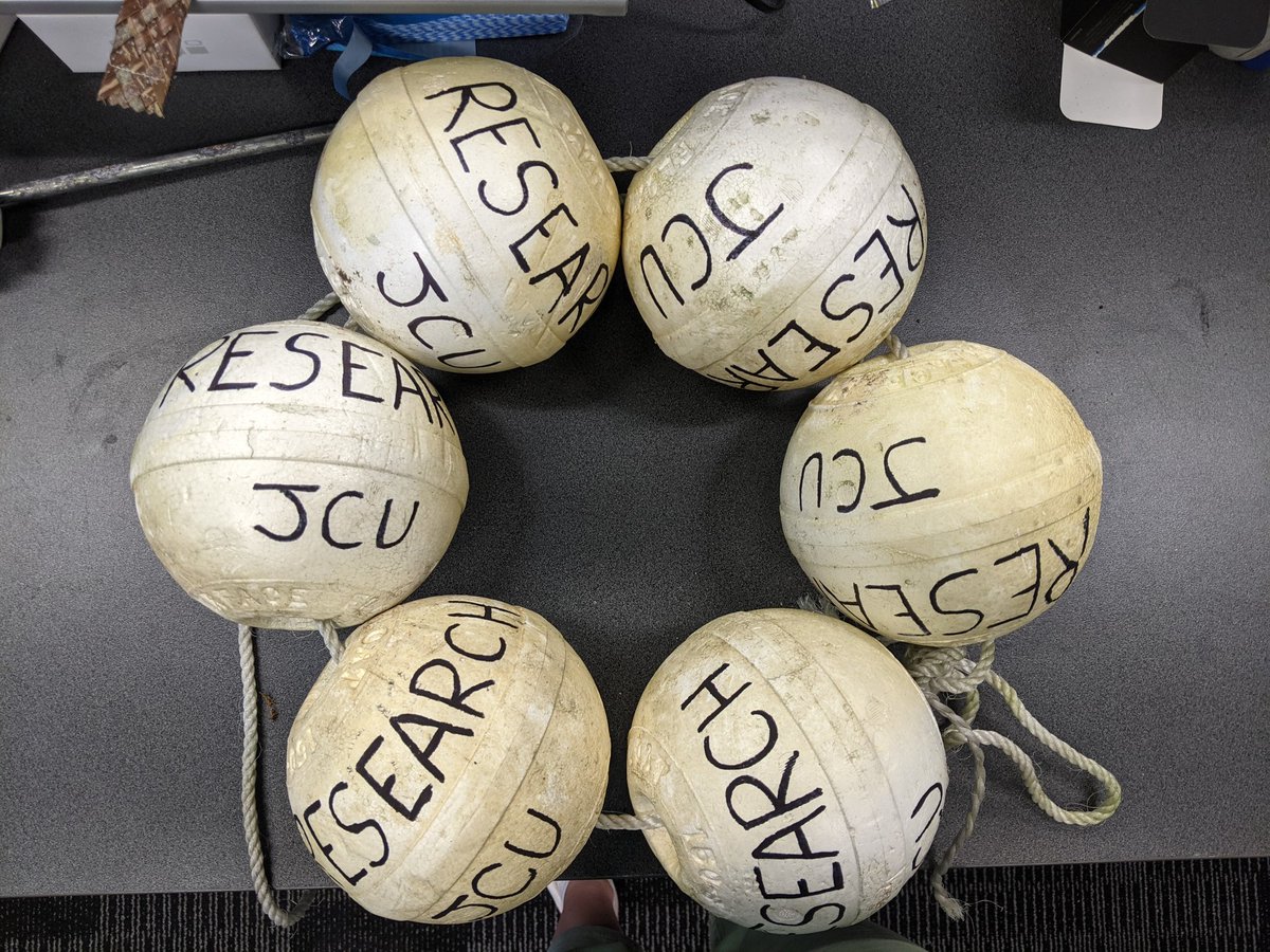 abbilscott's tweet photo. If I write my name on them do you think it will stop people stealing them?! Almost certainly not but it's worth a try.... #fieldworkproblems https://t.co/2dhsya2tnQ