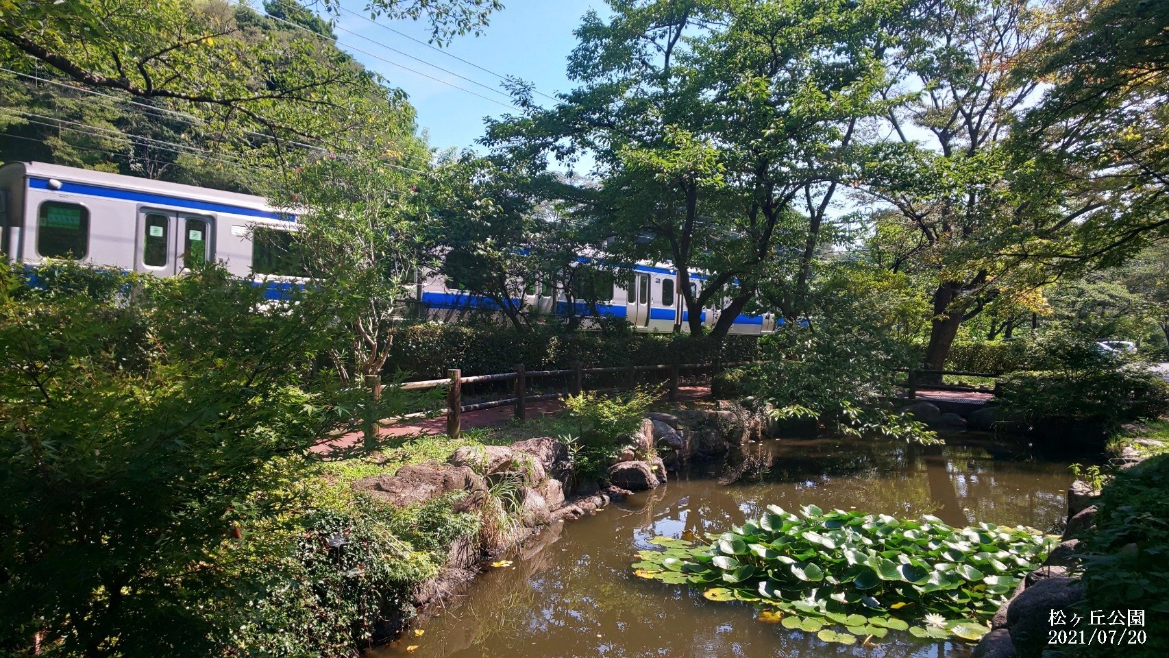 いわき市総合観光案内所 おはようございます 今日も30 越え 猛暑が続くいわき市です 日陰を探して歩きたくなりますね 今朝の画像は松ヶ岡公園 ひょうたん池の東屋に座ると 大きな木々の間から心地良い風が吹いて 一息つけます いわき駅から歩いて
