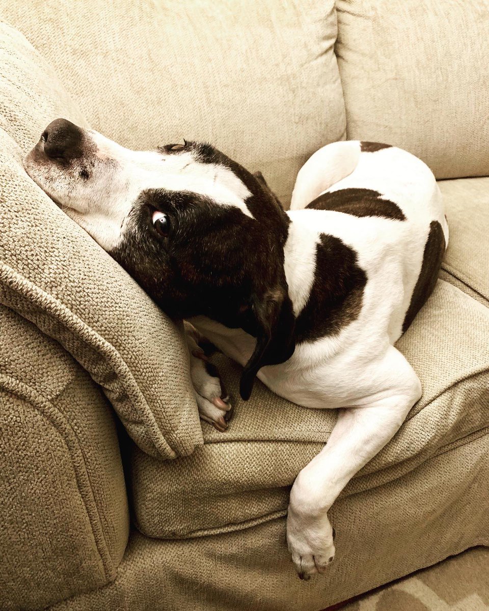 💥Susan Dyer Reynolds🗞️ tweet media