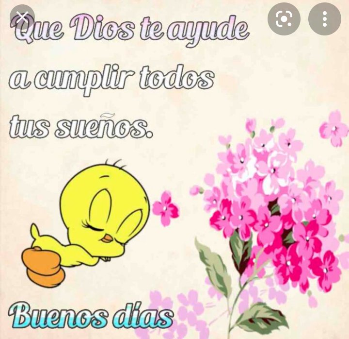 Rosafonn's tweet photo. Buenos días 🌞 https://t.co/xtdGAj7tlb