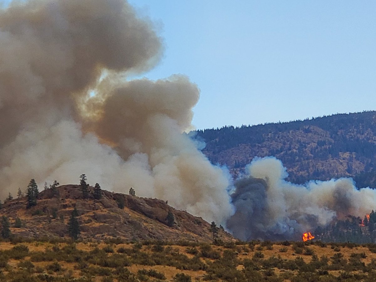 CityNewsVAN's tweet photo. Crews are responding to a fast-moving wildfire less than 10 kilometres north of Osoyoos, with smoke blanketing the South Okanagan, and people rep[orting ash falling from the sky as far away as Penticton https://t.co/GifxgjLGp2 https://t.co/RciTf5fNBK