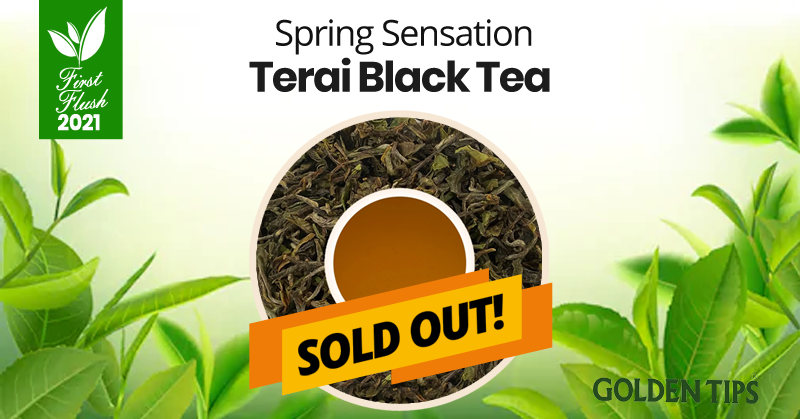 GoldenTipsTea's tweet photo. The most sorted Darjeeling teas are produced in limited quantity, get your favorite pick before it's get SOLD.
https://t.co/U2bAHQzept.
.
.
#FirstFlush2021 #SpringTeas #GoldenTipsTea #DarjeelingTea https://t.co/DTgXXnDA4h