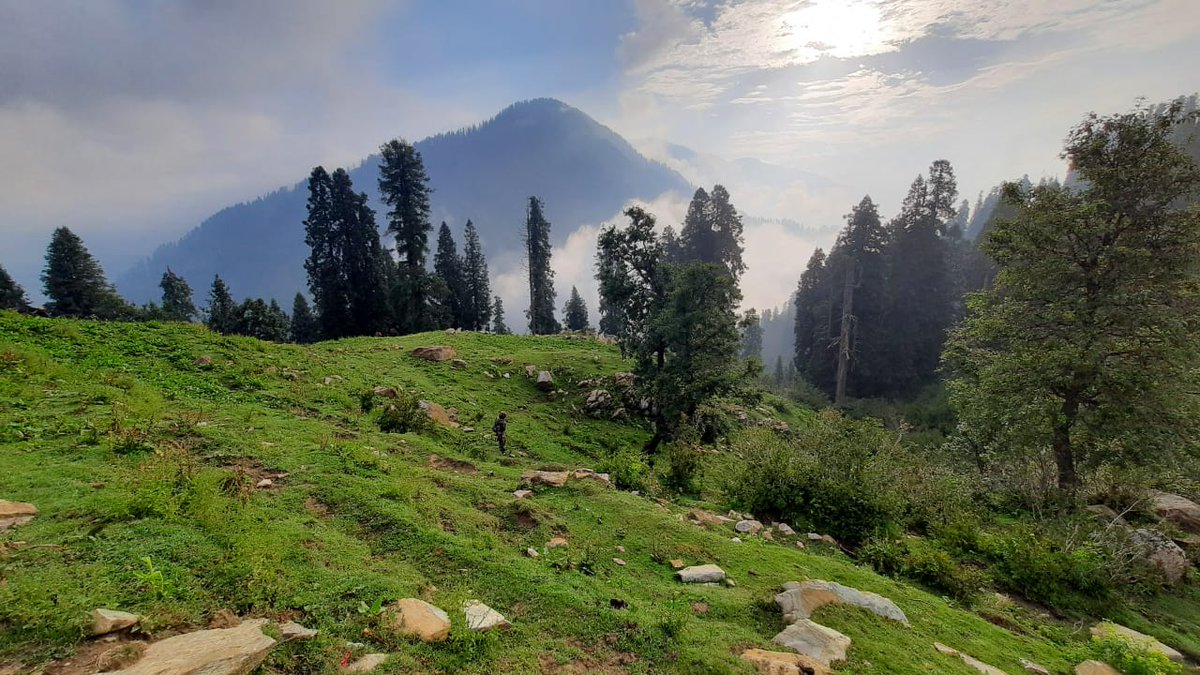 Serene & Pristine #PirPanjal #Rajouri #Jammu Nature lovers' paradise #NaturePhotography #tuesdaymotivations #GodMorningTuesday @NatureInd @nature_org @IndiaPhotos @NatGeoPhotos