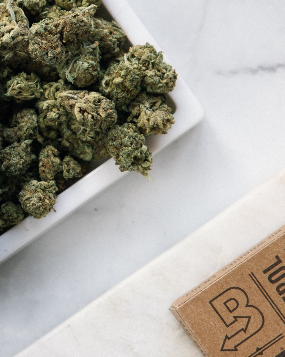 BovedaCannabis's tweet image. Buying in bulk? A 320 g #TerpShield will keep five pounds of flower fresh and full of terps.