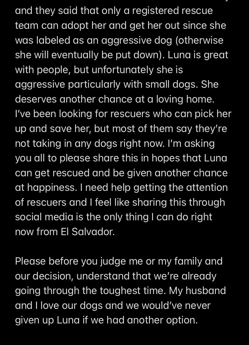 iamblancagg's tweet photo. ⚠️PLEASE READ &amp; SHARE⚠️ 
RESCUE ORGANIZATION NEEDED FOR 8-MONTH-OLD PIT BULL https://t.co/hRldieqee5