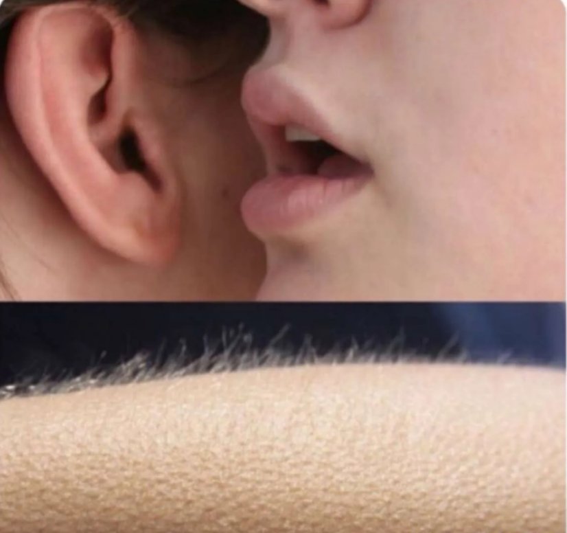 What would you say to Jenney to have her like this?

🔽Comment! (I may just respond👀)🔽