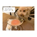 ツイートに含まれる画像