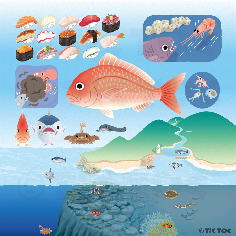 しょくぶつずかん