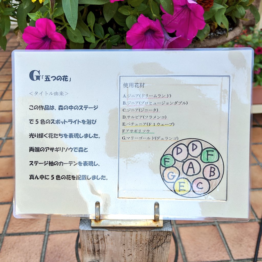 アサギリソウ