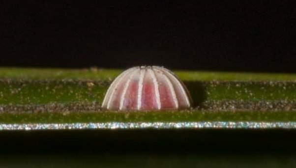 Madhuri Deshmukh tweet media