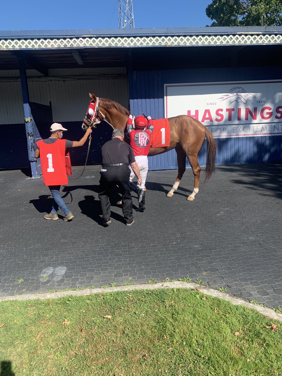 Finally, a maiden trip for Carolina Gent. Left the gate well, looked good coming home and in gallup out. Ate up well after. We’ll done Richie! #Hastings @MarkFre75366386 <a href="/HSTRacingClub/">Hastings Racing Club</a>
