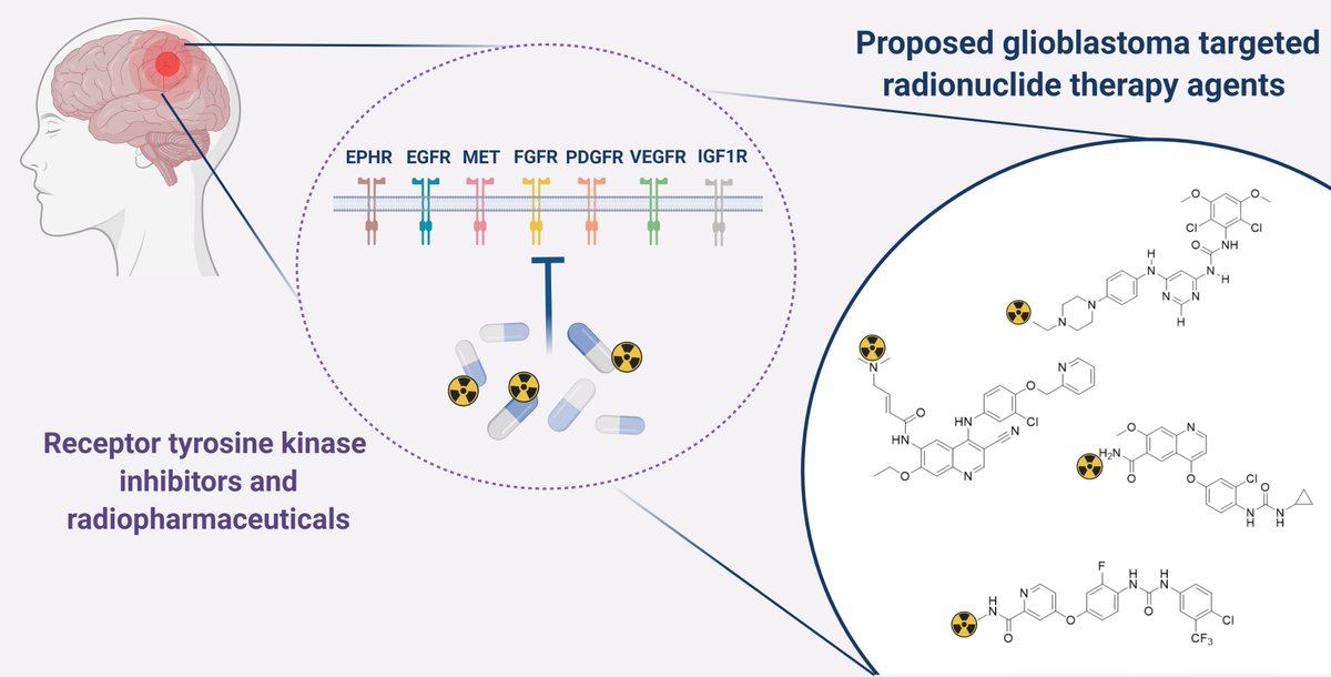 Novel Receptor Tyrosine Kinase Pathway Inhibitors for Targeted #RadionuclideTherapy of #Glioblastom.

#Radiochemistry #Theranostics #MolecularImaging  #Radiopharmaceuticals 

📃Read This Review Paper by Dr. Julie Bolcaen et al. Via:
mdpi.com/1424-8247/14/7…