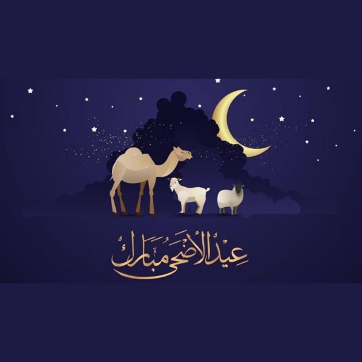 Im_ChasingDream's tweet photo. #EidAlAdha https://t.co/mi34dEPJ4I