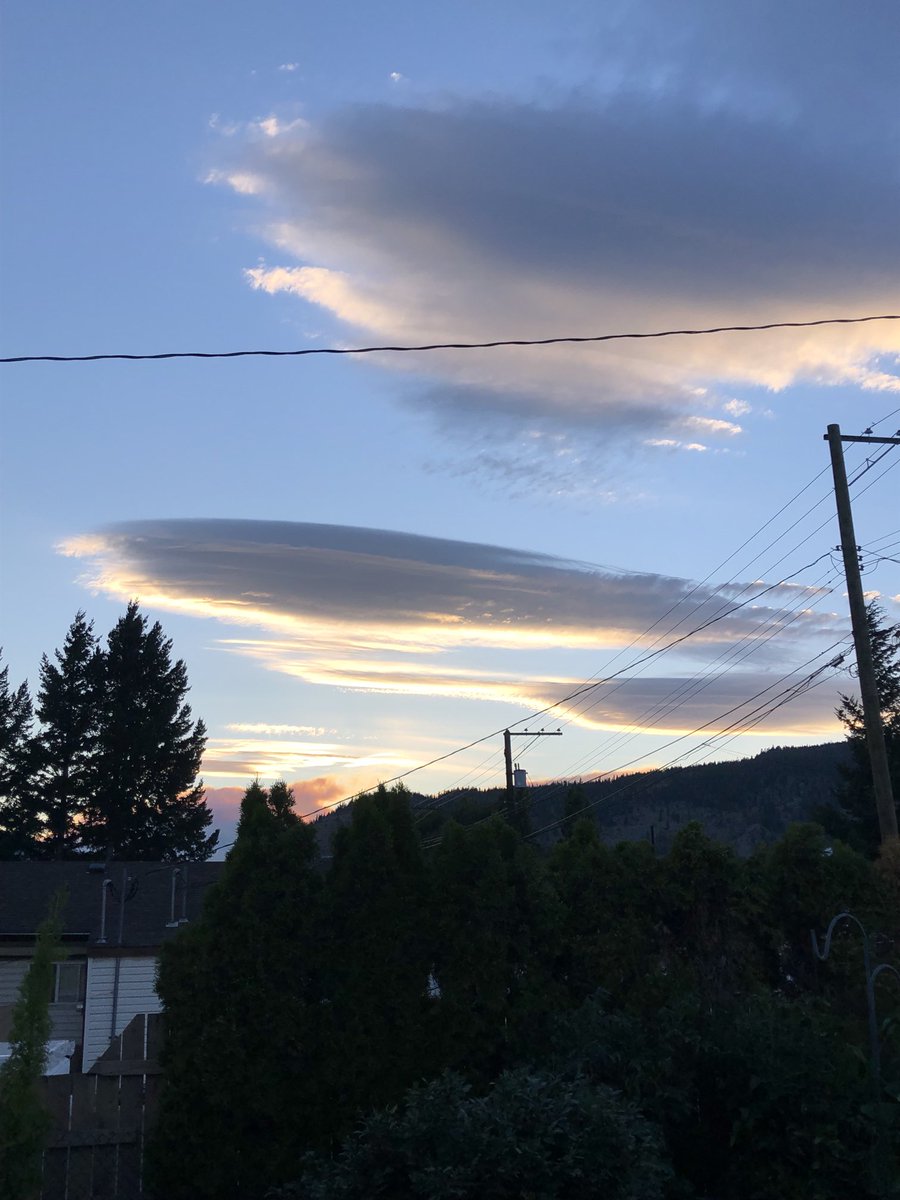 CatholicRevert😎 tweet media