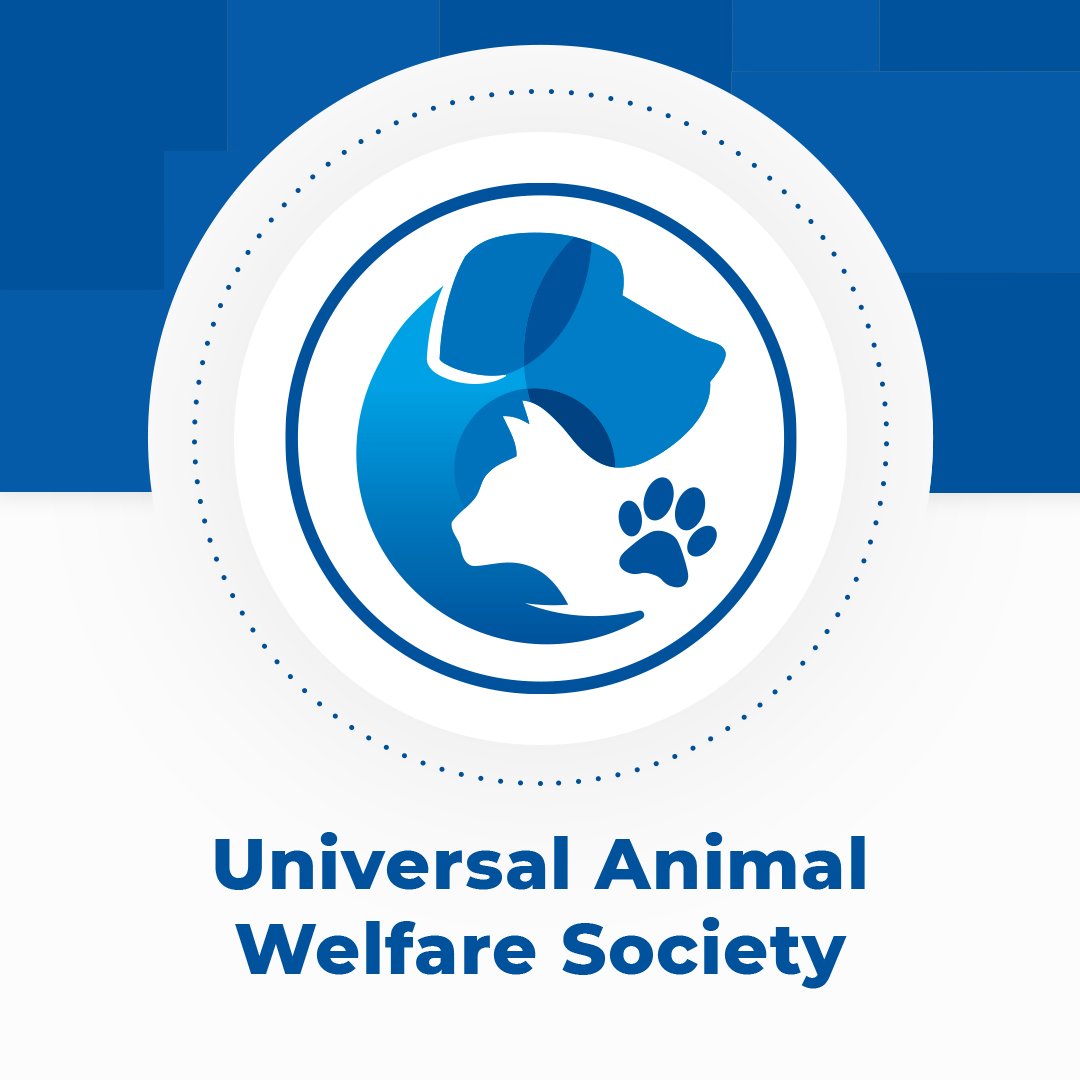 UniversalAnima8's tweet photo. Universal Animal Welfare Society is founded by Dr Hanumant Shelke (M.V. Sc) &amp; Dr Swati Shelke (BVSC&amp;A.H.) .  
To begin with the welfare of animals; our preliminary focus abides us on Vaccination &amp; Sterilisation of  Street Dogs 🐕 &amp; Cats 🐈.
#animalwelfare #adoptdontshop #animals https://t.co/FAVbeL7mdo