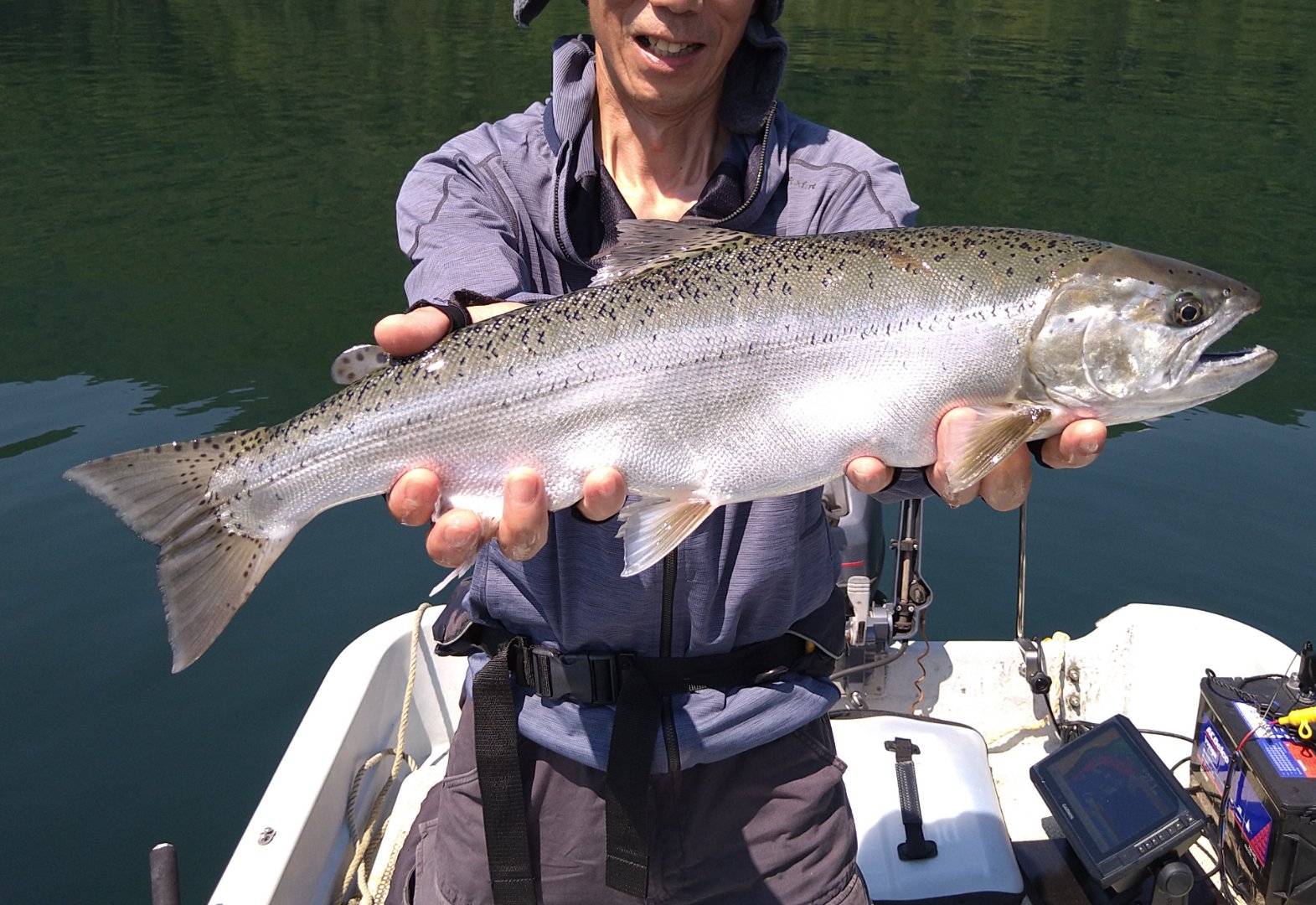 ばうたろう 私の釣果ではありませんが 灼熱地獄の中 まぁまぁのキザキマスが釣れました 私はまた かわいいサイズに遊ばれてます レイクジギング 木崎湖 キザキマス デカいサイズが釣りたい T Co Fz2rpdgebn Twitter