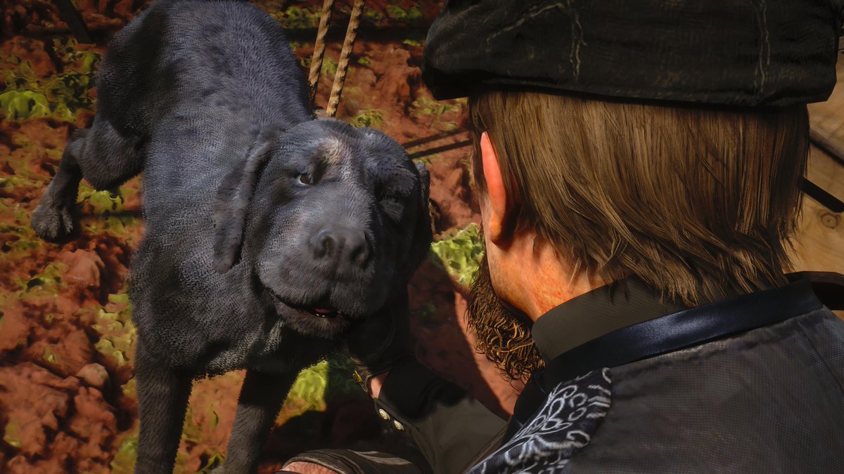 GoatKing22's tweet photo. Shots that were gonna go on Social Club eventually but didn't make the cut due to needing space. 1. King of the hill -2. Cain the camp dog. He's so cute -3. So that's what Molly does when her and Dutch "argue" @RockstarGames #RDRShots #ARTSSnapmatic #LostSoulHunter #LSPhotoStudio https://t.co/kHMCA0OwFx