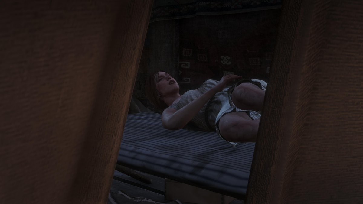 Shots that were gonna go on Social Club eventually but didn't make the cut due to needing space. 1. King of the hill -2. Cain the camp dog. He's so cute -3. So that's what Molly does when her and Dutch "argue" <a href="/RockstarGames/">Rockstar Games</a> #RDRShots #ARTSSnapmatic #LostSoulHunter #LSPhotoStudio