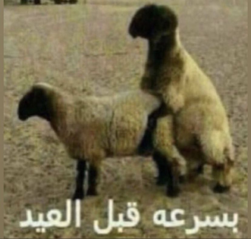 mohha_sh's tweet photo. يحدث الان https://t.co/DwRm8FooWE