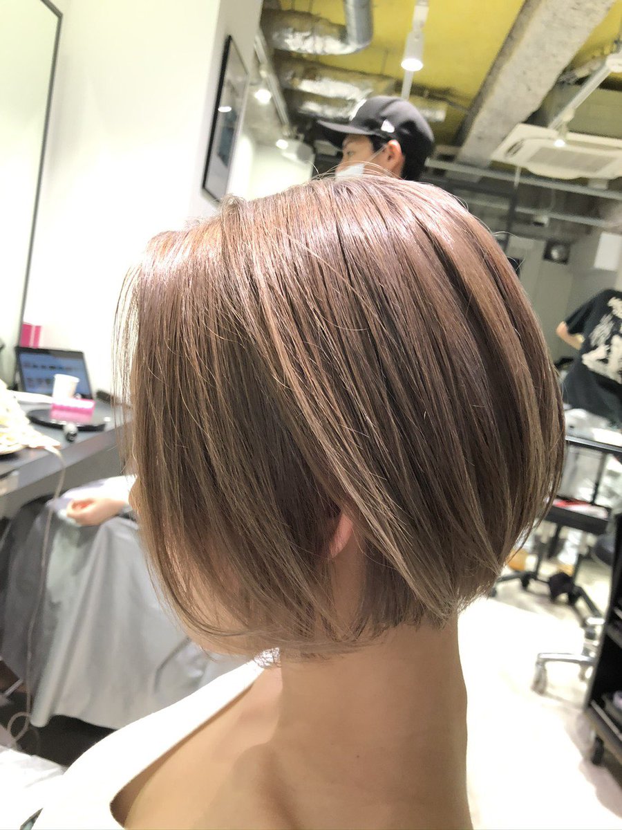 カットモデル カットモデル