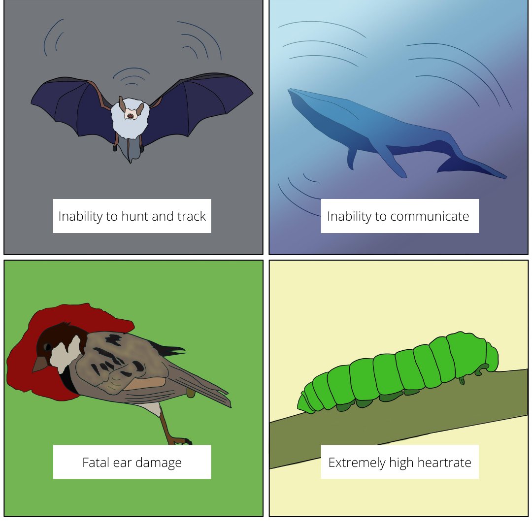 EFIVolunteer's tweet photo. Loud and Overwhelming #EnvironComics by E.F.I
Noise, the invisible threat to our environment. Several lifeforms both on land and water are facing the wrath of it, that would only escalate more if we don't put an end to it!
#EFI #NoisePollution https://t.co/SOhbQuPOrL