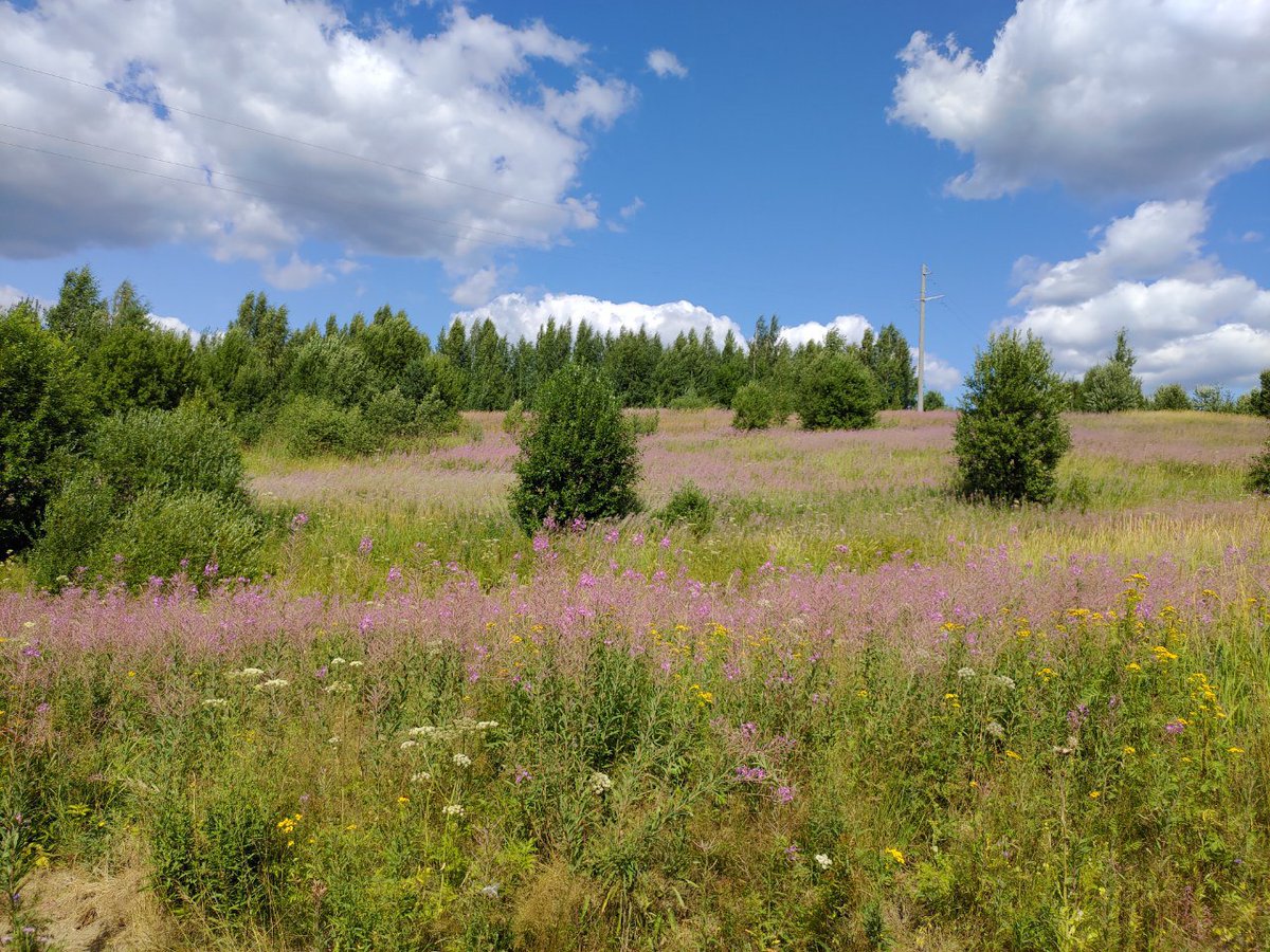 AlexanderArzh's tweet photo. I'm recovering, life is beautiful!
#recovering #naturecolors https://t.co/LuXMw5fCHj