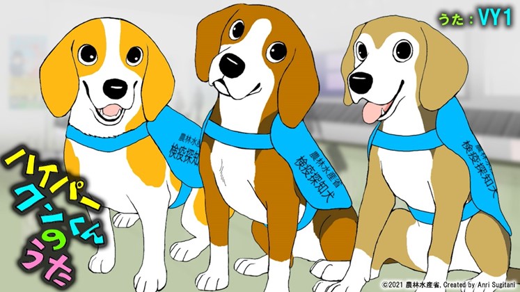 農林水産省 僕は 検疫探知犬 のリモ 新千歳空港 で働いています いつでも出動できるように 毎日訓練を頑張ってます ハンドラーと遊んだりお散歩するのも大好き リモはイタリア語でレモンという意味で その名の通りレモンカラーのクンくんなんだ