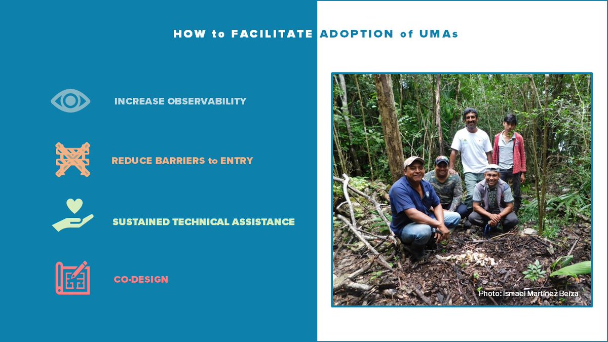 Cristina Romero tweet media