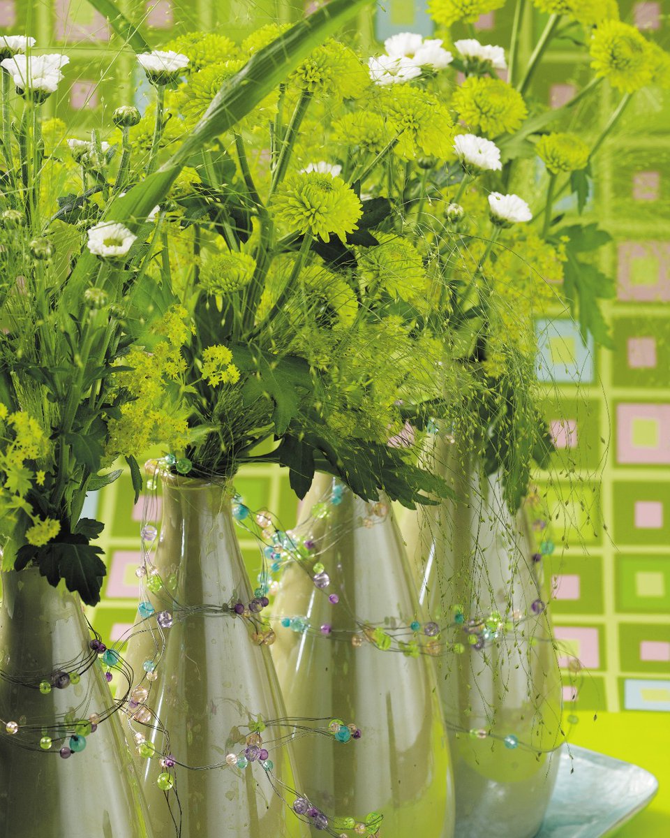 Groen, Groener, GROENST!
.
#mooiwatbloemendoen #siergrassen #groenebloemen #groengeluk #groengroenergroenst #groenisgoedtedoen #summervibes #zomerbloemen #zomer2021 #greenpowerstheflowers #dekrachtvangroen