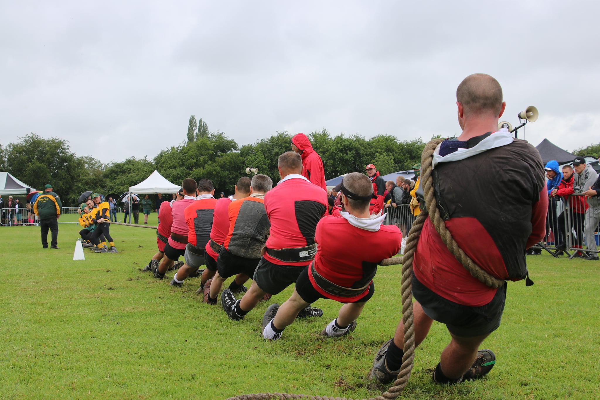 Tug of sale war anchor