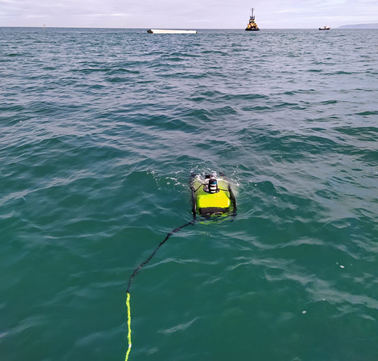 Wese Project tweet media