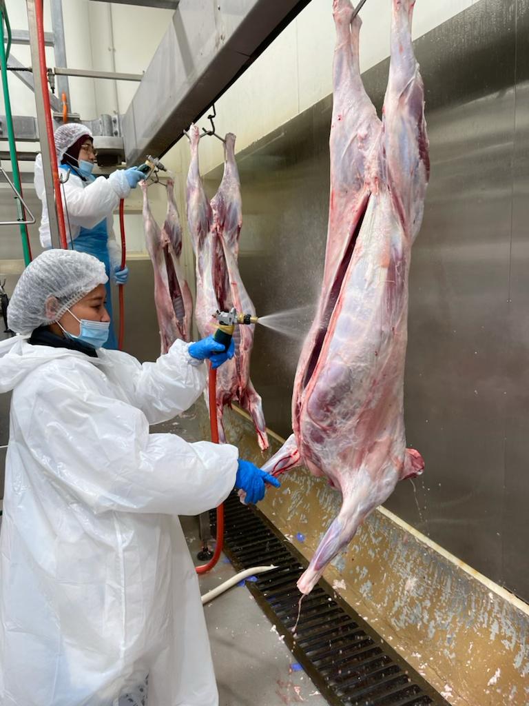 mecvakfi's tweet image. The slaughtering and packaging of your 1442/2021 Qurban waqalah continues rapidly in accordance with Islamic Procedures in modern facilities.

#DoItRight #DoItForAllah