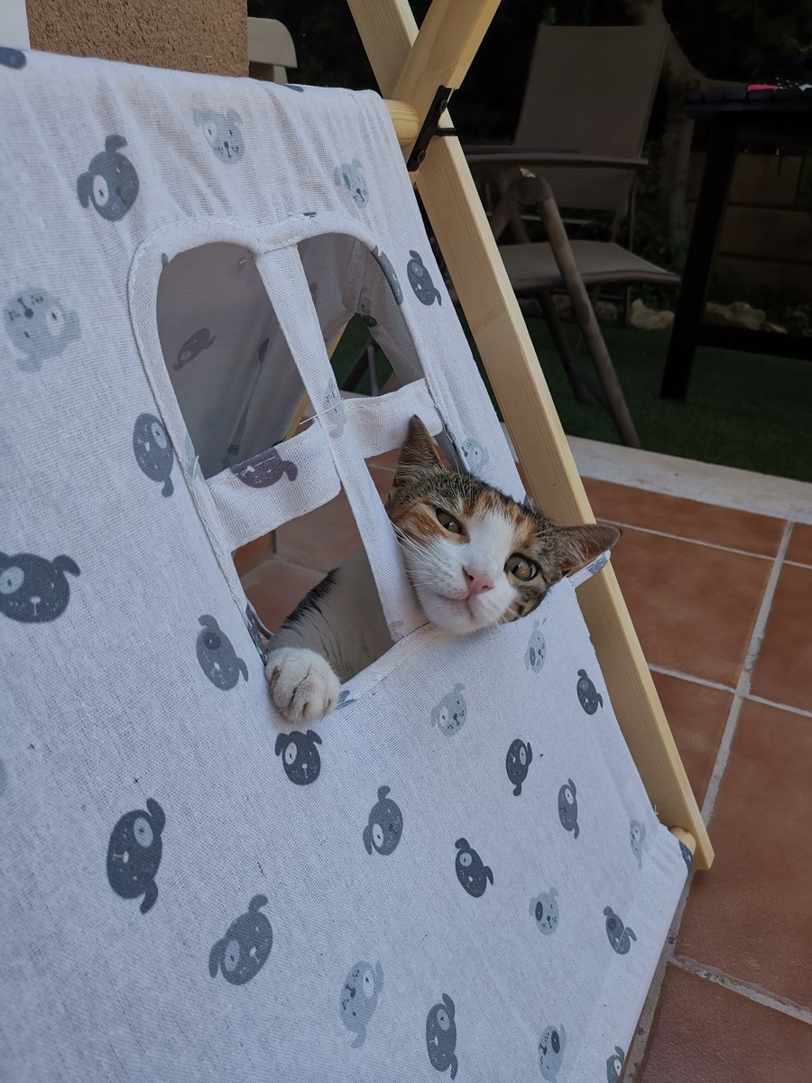 Yo intentando ser productiva todos los días.