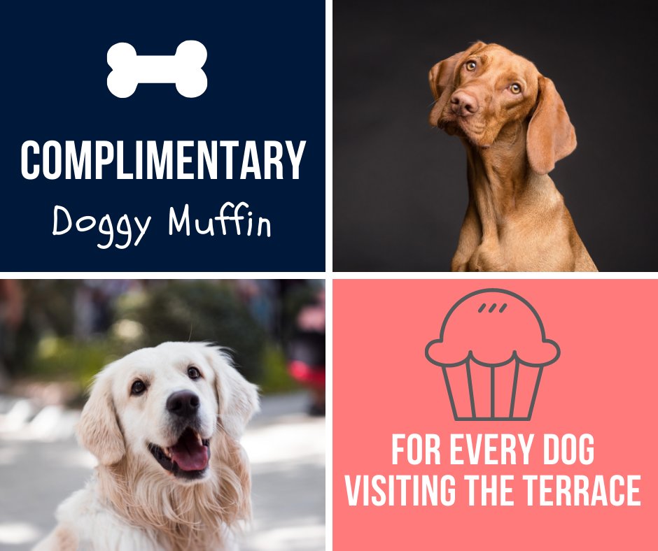 Garfield House Hotel tweet media