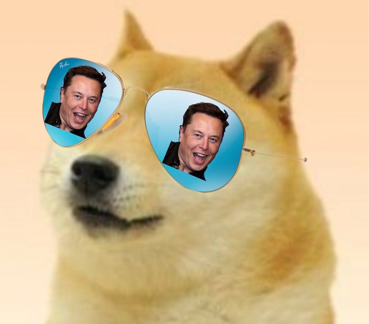 CeeJay9673's tweet photo. @ElonMusk #ElonMusk, #Doge, #DogeCoin https://t.co/s0RYU1WOYi