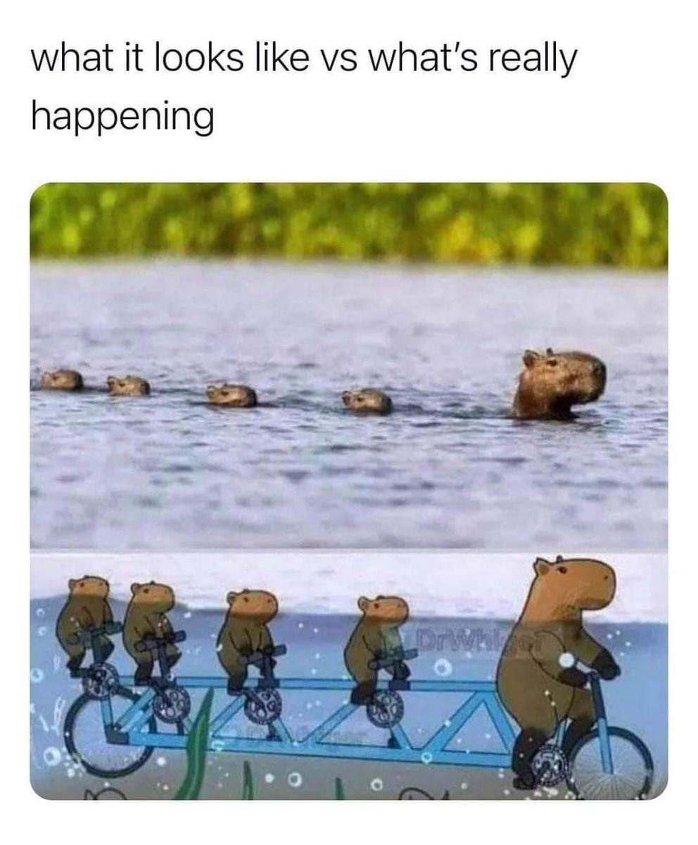memeadikt's tweet photo. Wut... https://t.co/msxJmgJi3X